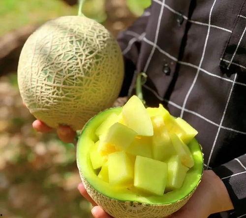 广东娱乐圈吃瓜号,揭秘广东娱乐圈背后的那些事儿